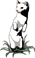 ani 0033