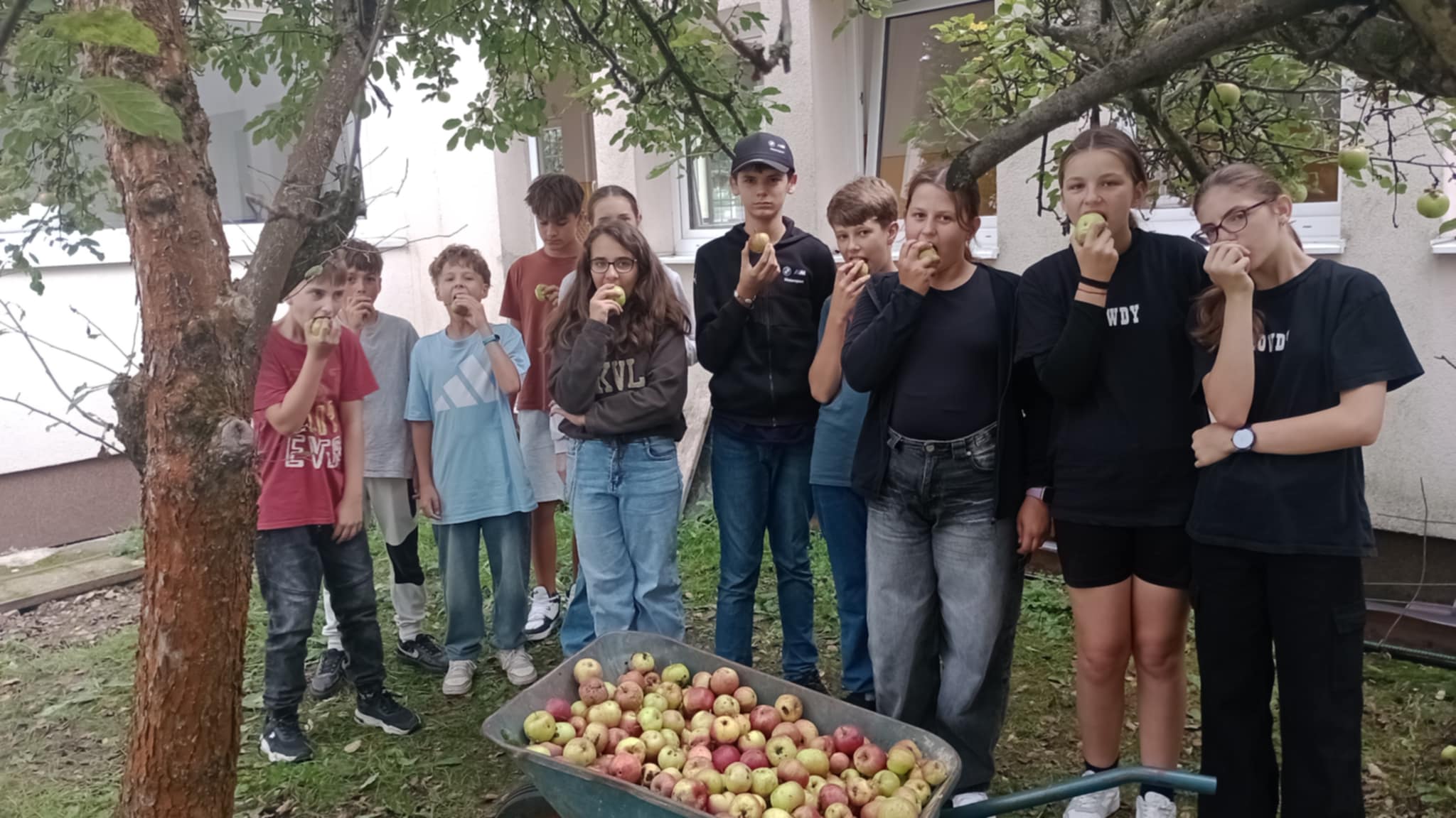 0803572c ff1c 4590 8c96 3d642046011f