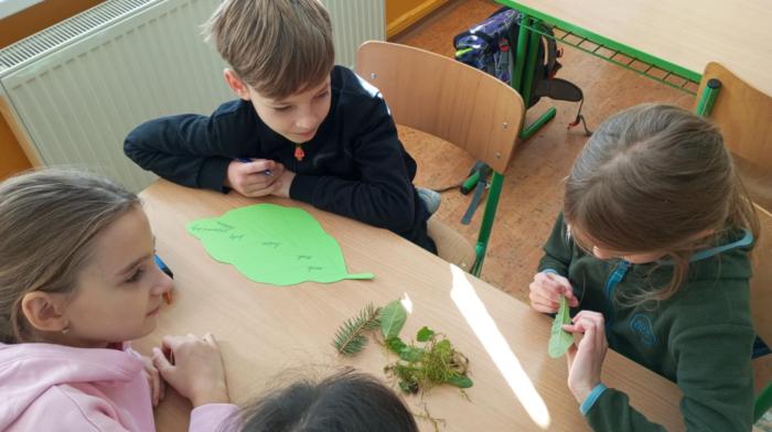 08dfd1f2-4da5-4662-9ef2-9867d0cc2794